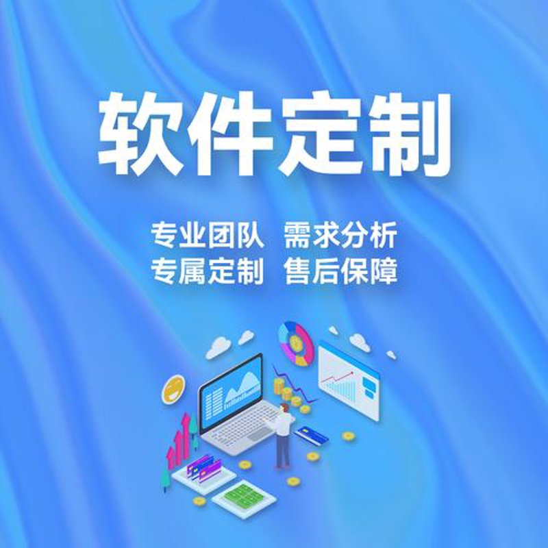 智能系统开发